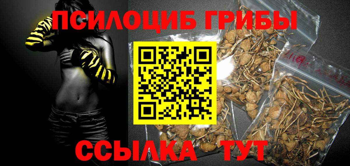Галлюциногенные грибы Psilocybine cubensis Серпухов